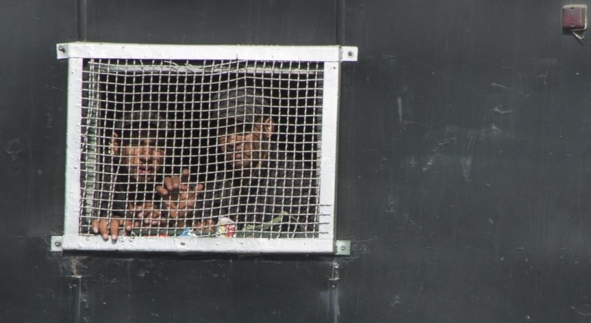 «Cosa importa se muori», un viaggio nell’incubo delle prigioni egiziane