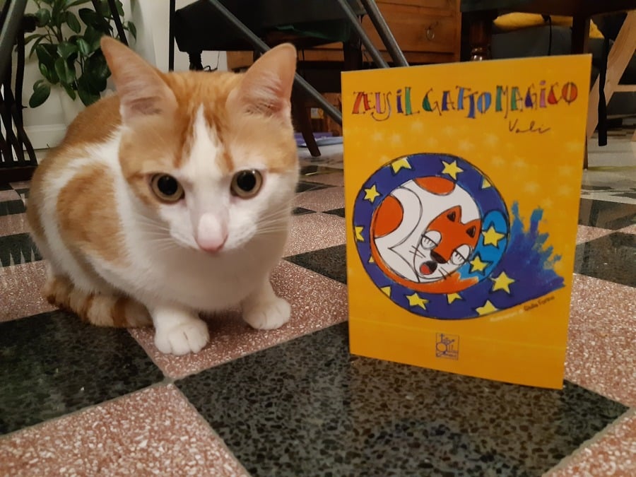 Il gatto Zeus contro l’incubo del terremoto, un crowdfunding per Amatrice