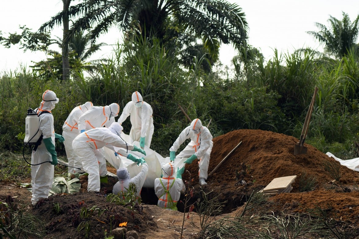 Ebola, poliomelite e gli altri. I virus che non abbiamo sconfitto