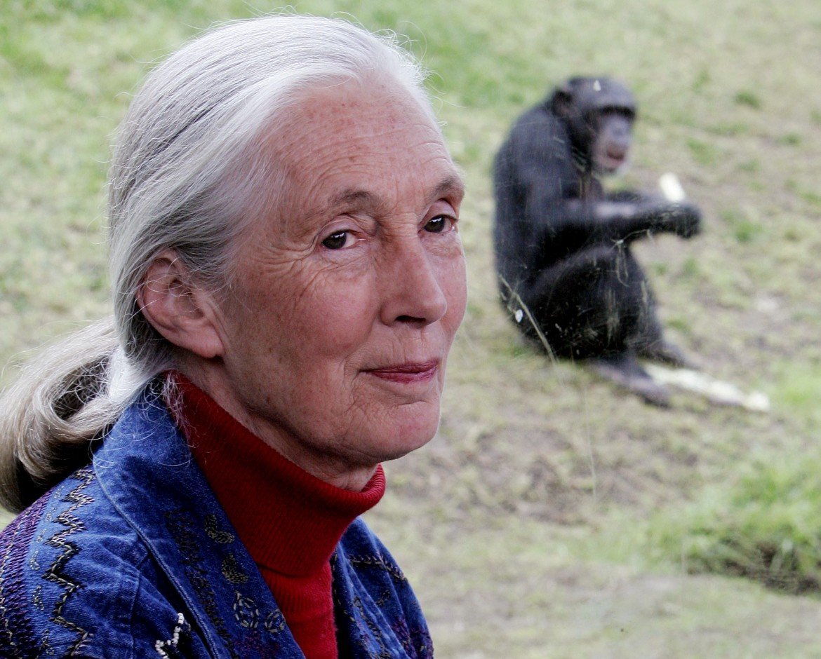 Jane Goodall: «In Africa rischio di catastrofe per uomini e animali»