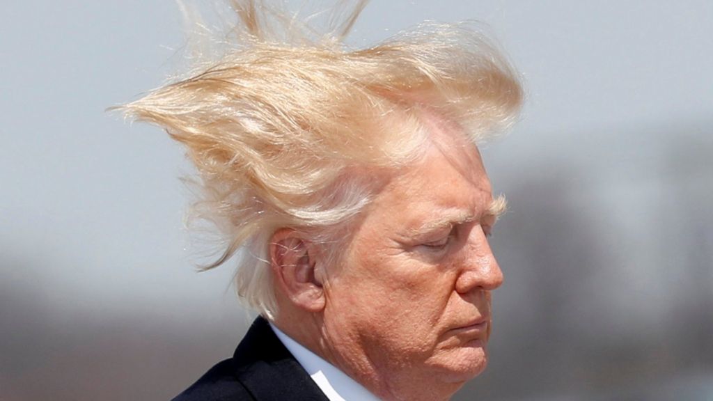 Quanto è salato il parrucchiere  di Trump