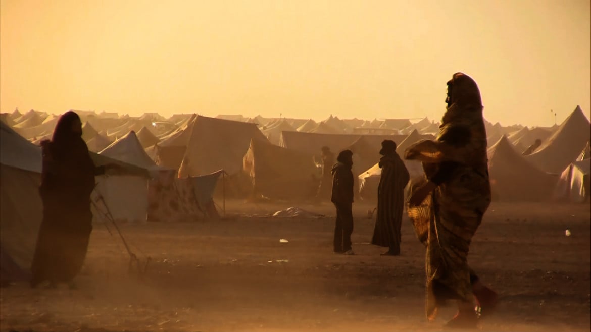Saharawi, decenni di negazione dei diritti umani raccontati dalle voci di chi continua a resistere