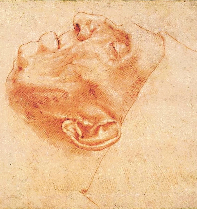 Francesco da San Gallo, maestro totale nel canone di Michelangelo