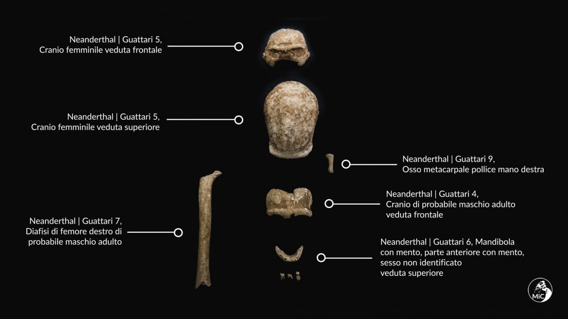 La Grotta Guattari restituisce nove Neanderthal