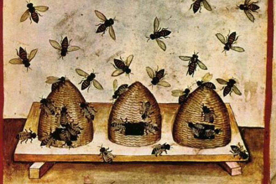 «La favola delle api» nella versione di Giuseppe Di Leva