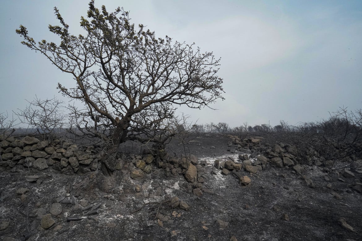 Sardegna, il corpo forestale: «Incendi di origine dolosa»