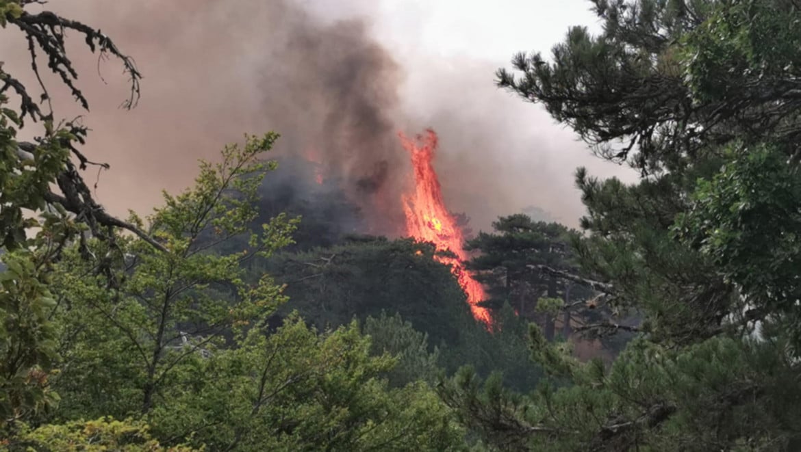 Il fuoco avanza in Calabria e Sicilia, chiesto lo stato d’emergenza