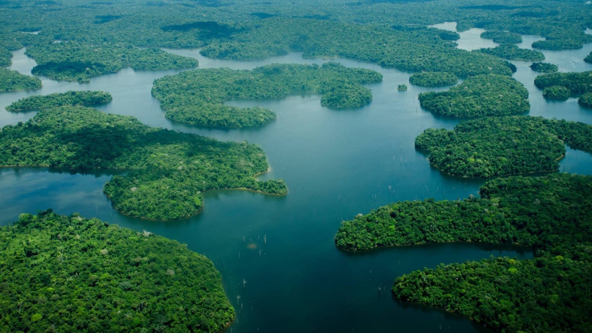 Tra l’Amazzonia e Topolò, nel respiro terrestre delle foreste