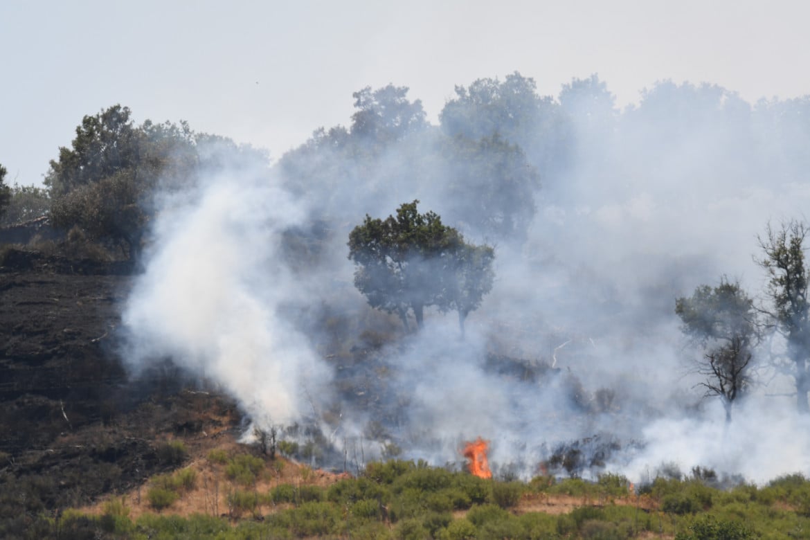 Incendi, stato d’emergenza in quattro regioni