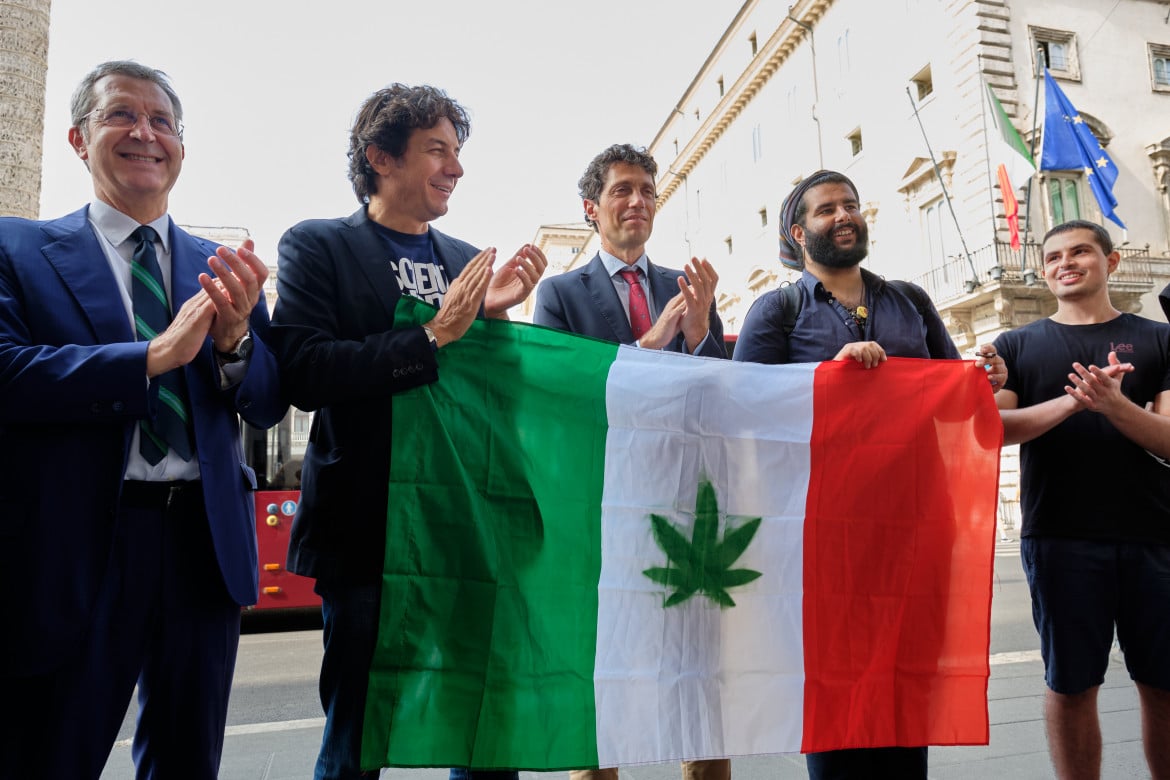 Decreto salva referendum, la Lega dice no per la cannabis