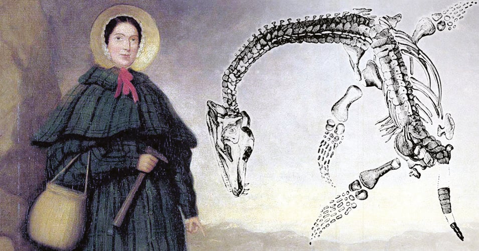 Mary Anning, indomita «collezionista» dei fossili di ittiosauri
