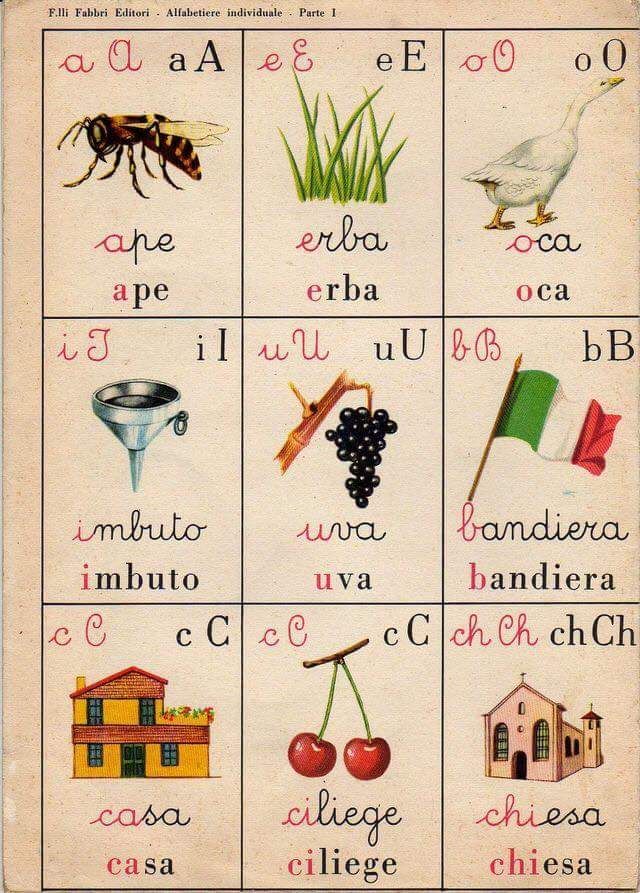 L’avventurosa biografia della scuola