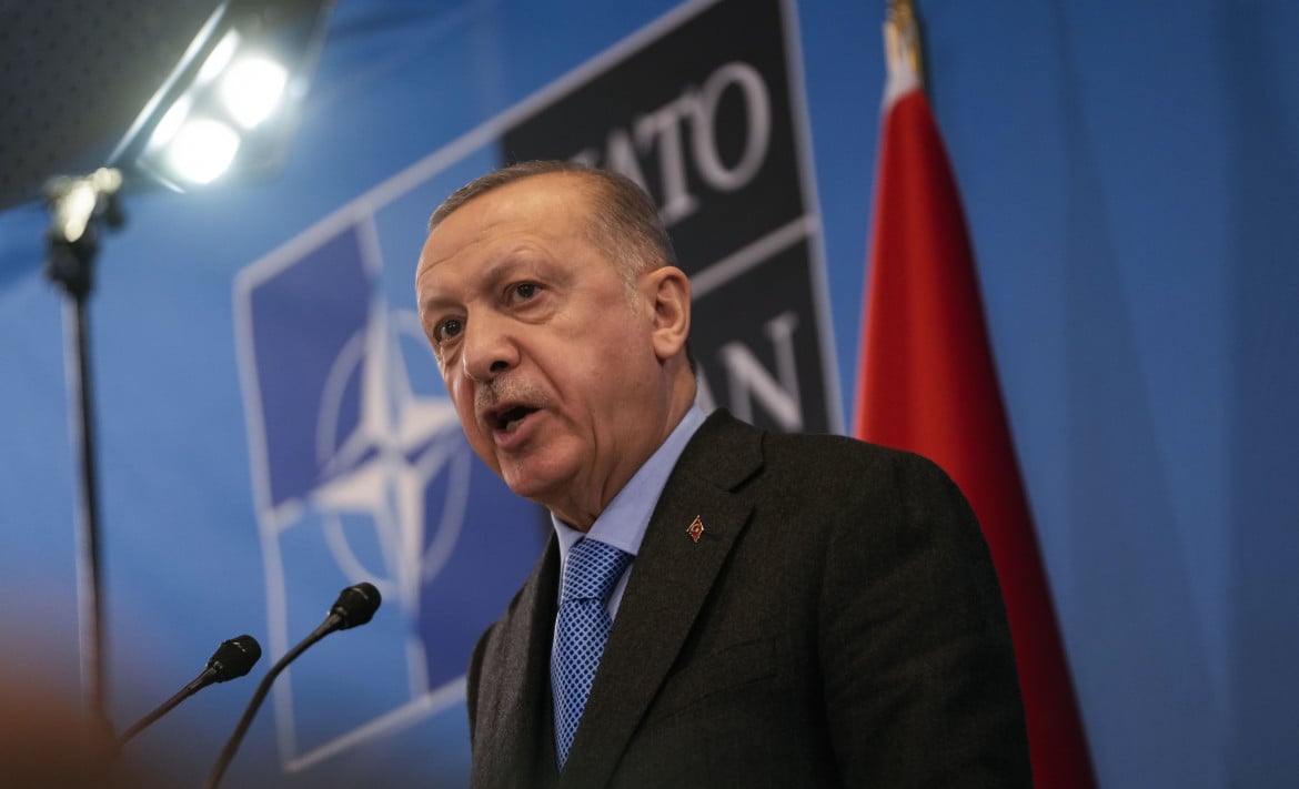 Mediazione sì, sanzioni no. Erdogan in crisi cerca il colpaccio con l’Ucraina