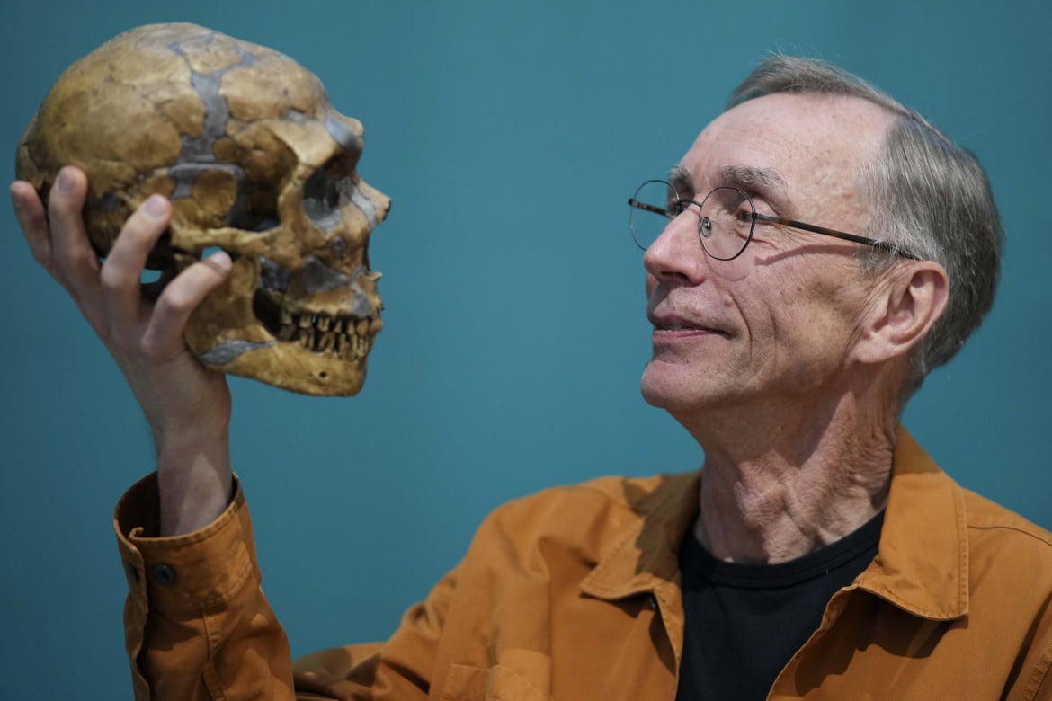 Nobel per la medicina a Pääbo che ha studiato il genoma dei Neanderthal