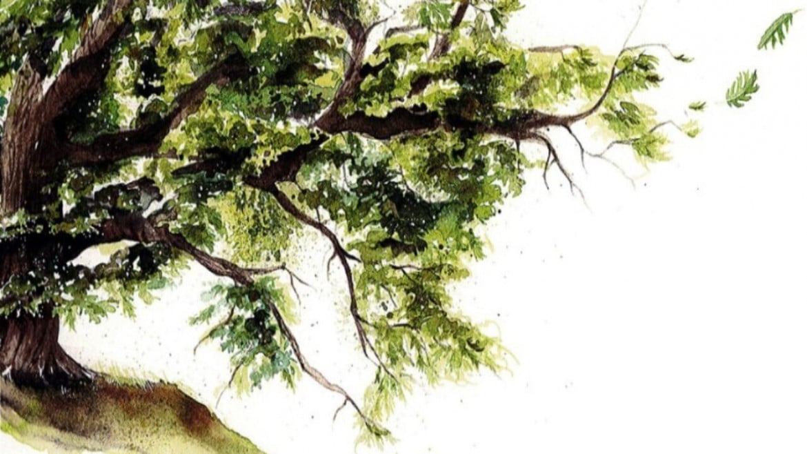 Karine Marsilly, «arrampicarsi» sugli alberi