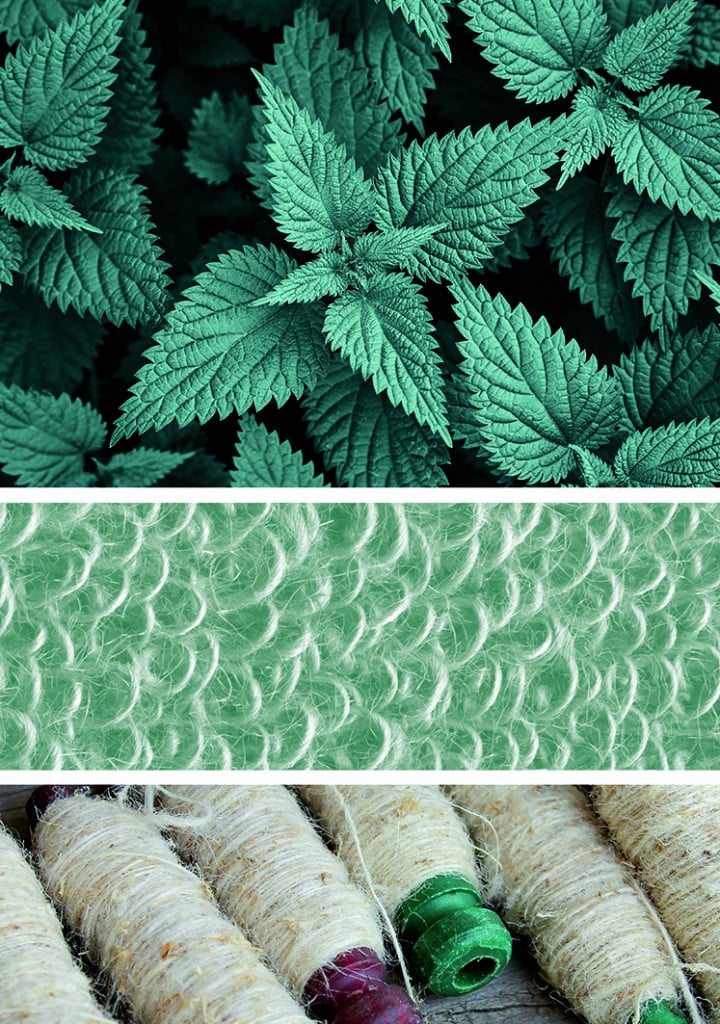 Michela Finaurini, per una storia delle fibre tessili
