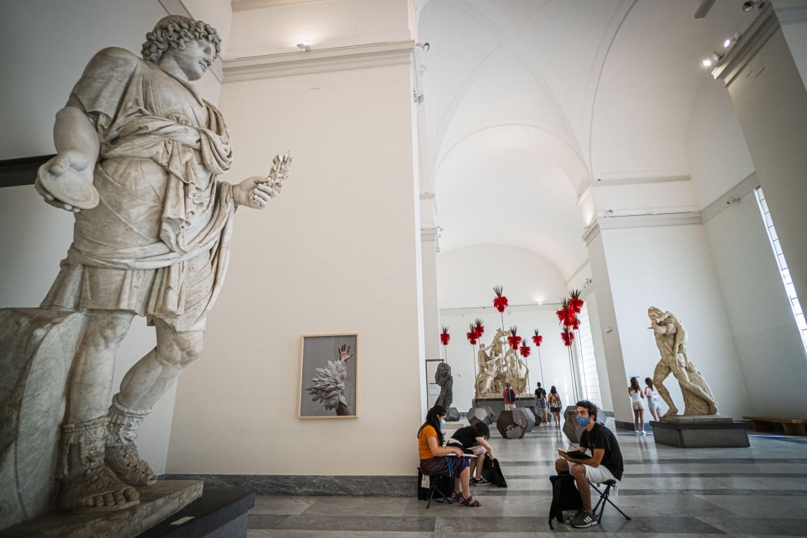 Il Mann di Napoli, un museo in espansione