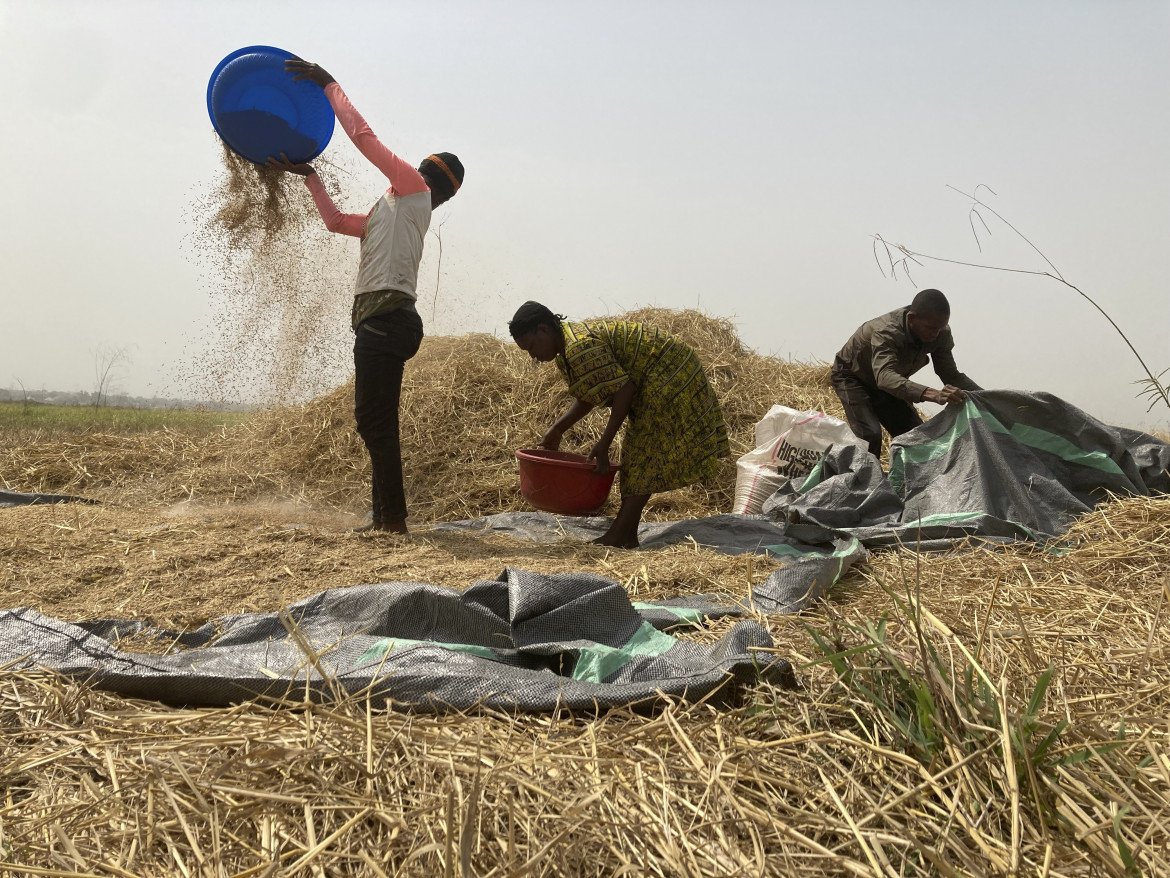 La siccità infiamma il conflitto pastori-agricoltori in Nigeria, 150 morti in pochi giorni
