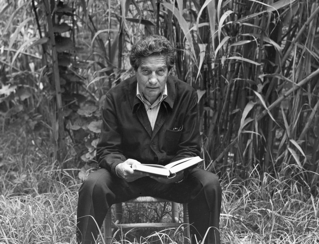 Vita, viaggi e stilemi di un poeta errante: una biografia dedicata a Octavio Paz