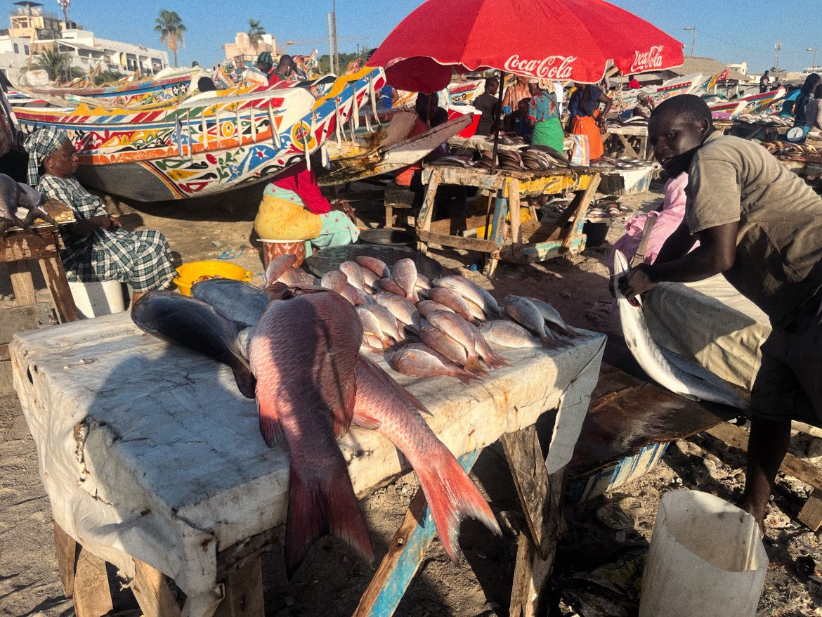 Pescatori senegalesi alla fame, le piroghe ora servono solo per la traversata verso le Canarie