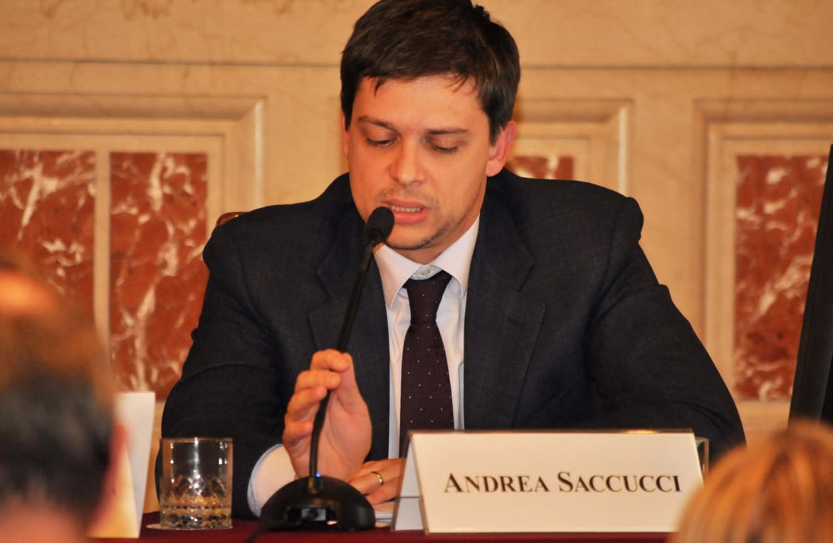 Andrea Saccucci