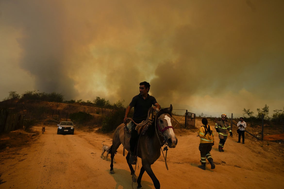 Il Cile brucia, imprese  forestali sotto accusa. Ma Piñera santo subito