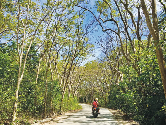 Filippine, ci sono gli erboristi che curano le foreste