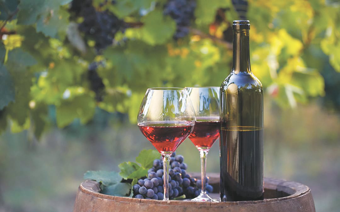 A rischio il buon vino dei paesi mediterranei