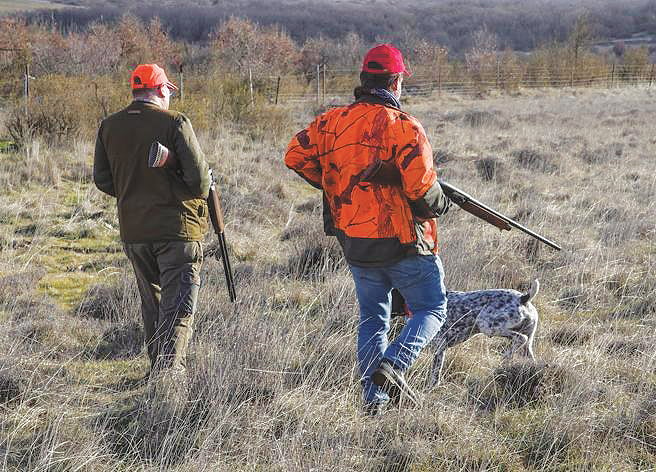Gli ambientalisti: «Uno scempio la legge sulla caccia»