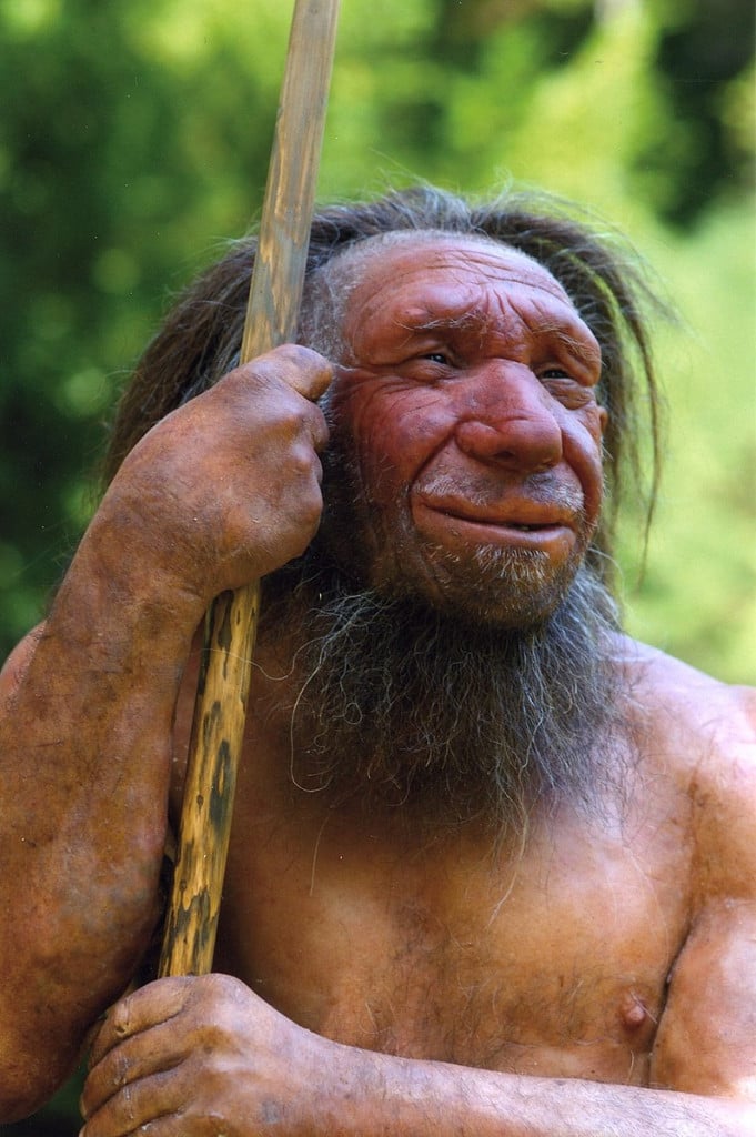 Valditara, i dinosauri e il sesso con i Neandertal
