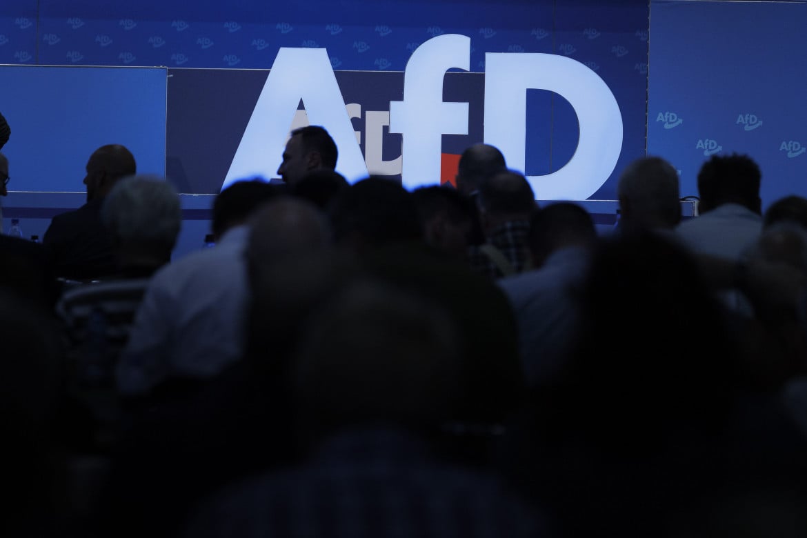 Delegati al congresso della Afd in Magdeburgo