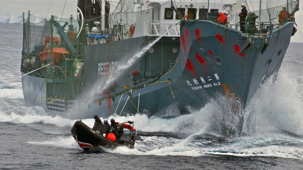 Un’azione della Sea Sheperd contro una baleniera giappone