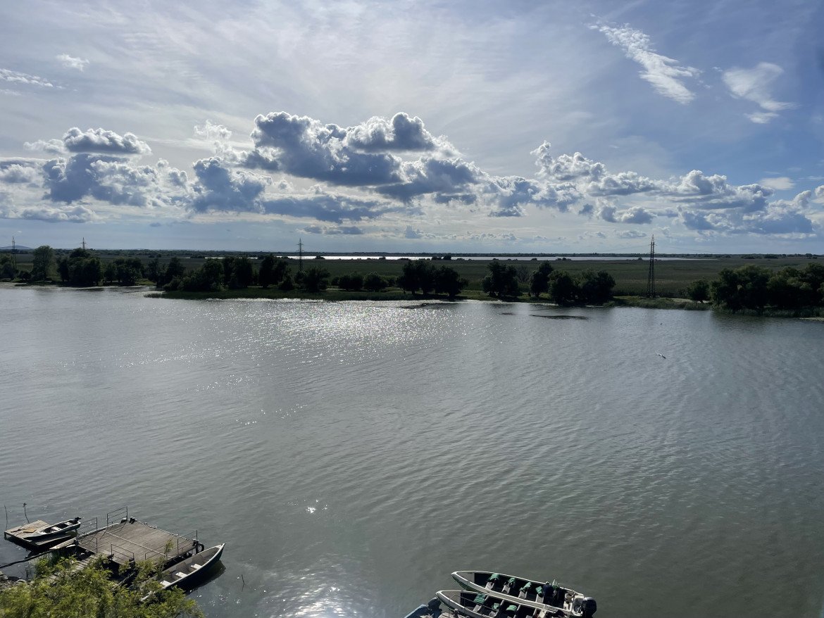 Fra i pellicani, sul Delta del Danubio