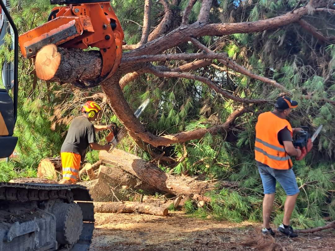 Vicenza, ambientalisti e No Tav in difesa del bosco dei Ferrovieri