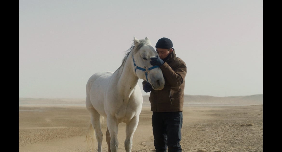 Xiaoxuan Jiang, di cavalieri e di turisti