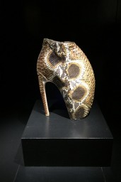 Savage Beauty Armadillo Shoe
