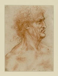 19 ID 348. Leonardo da Vinci Testa maschile di profilo coronata di alloro TORINO BIBLIOTECA REALE