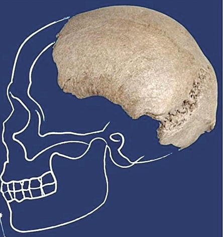 Acamar, il Sapiens preistorico restituito dal Po