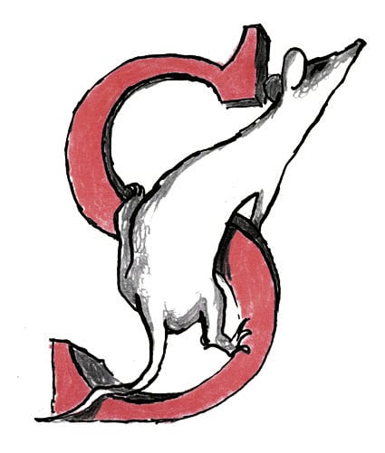 Disegno di Toti Scialoja tratto da «Animalie»